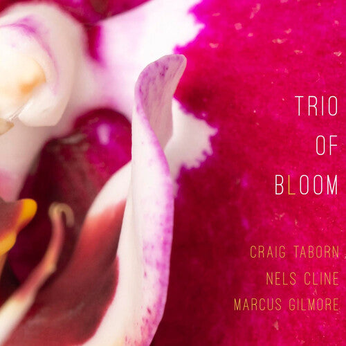 Trio of Bloom- Trio Of Bloom (CD)-BoldPlay