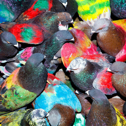 Blawan- Sickelixir (CD)-BoldPlay