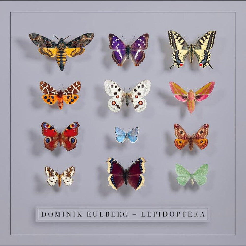 Dominik Eulberg- Lepidoptera (Uk) (Vinyl)-BoldPlay