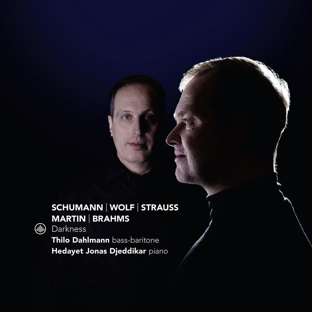 Thilo Dahlmann- Darkness (CD)-BoldPlay