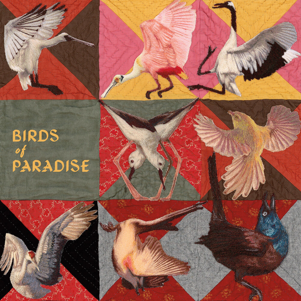 Thomas Dollbaum- Birds Of Paradise [Pink Vinyl]-BoldPlay