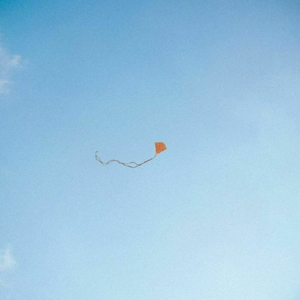 Chris Stussy- Lost Found & Forgotten (Vinyl)-BoldPlay
