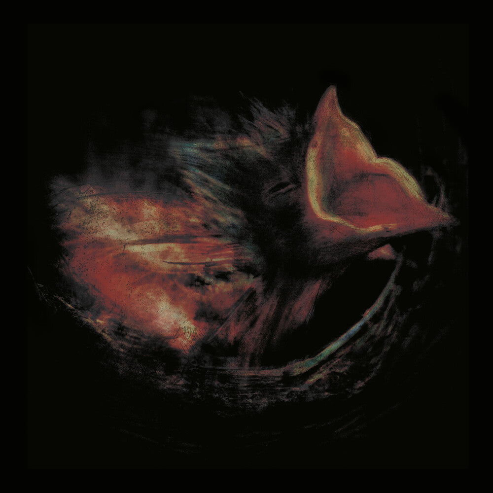 Gurriers- Nobody's Coming To Save You [Black] (Vinyl) (PREORDER)-BoldPlay