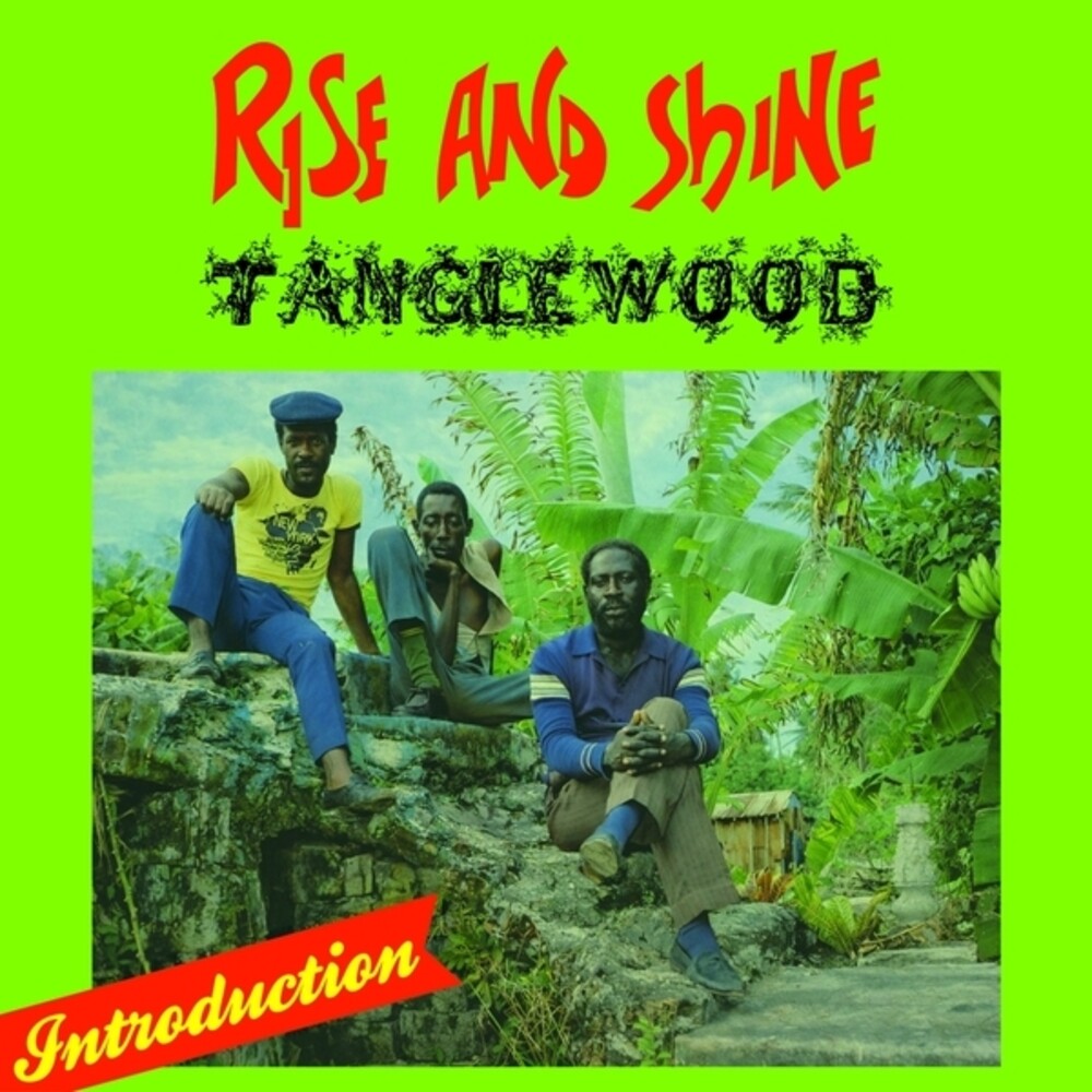 Tanglewood- Rise & Shine (Vinyl)-BoldPlay
