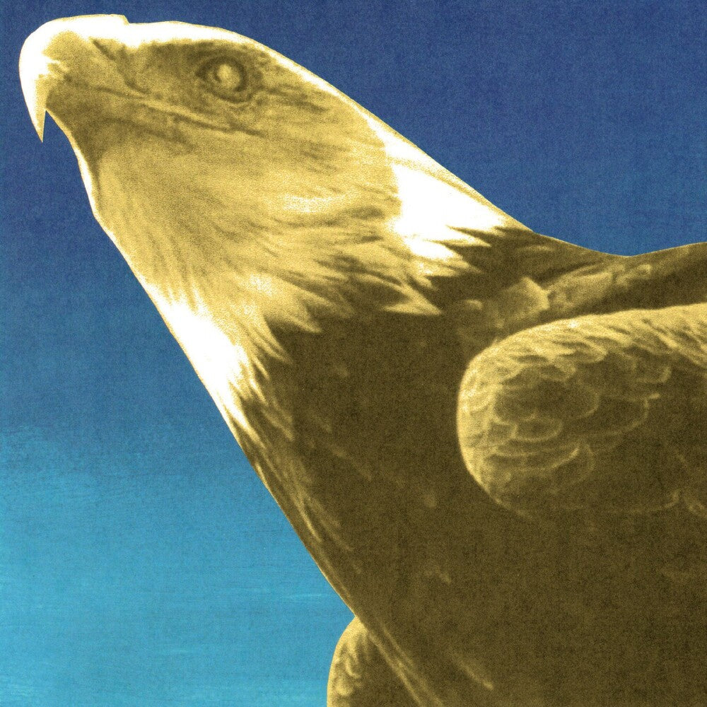 Protomartyr- Hotel Usona (CD) (PREORDER)-BoldPlay