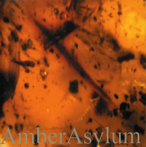 Amber Asylum- Frozen in Amber (CD)-BoldPlay