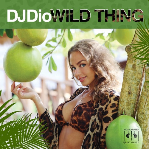 DJ Dio- Wild Thing (Mod) (CD)-BoldPlay