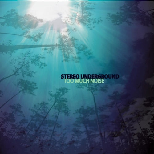 Stereo Underground- Too Much Noise-BoldPlay