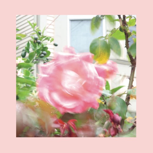 Reds Pinks & Purples- Summer At Land's End (Can) (CD)-BoldPlay