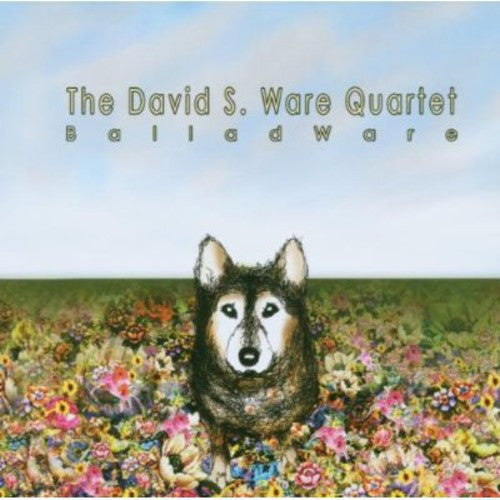 David S. Ware- Balladware (CD)-BoldPlay