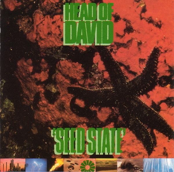 Head Of David- Seed State-BoldPlay