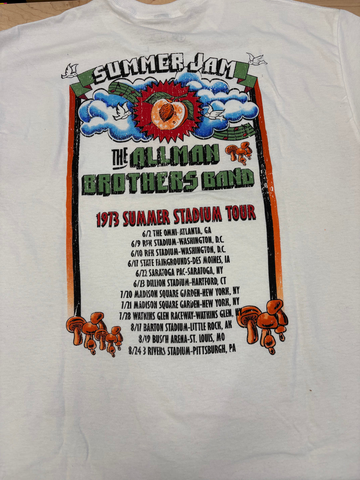 Allman Brothers 1973 Summer Jam Stadium Tour T-Shirt (Reproduction), White, Large-BoldPlay