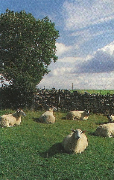The KLF - Chill Out (w/Hype Sticker on Back) (Used Cassette)-BoldPlay