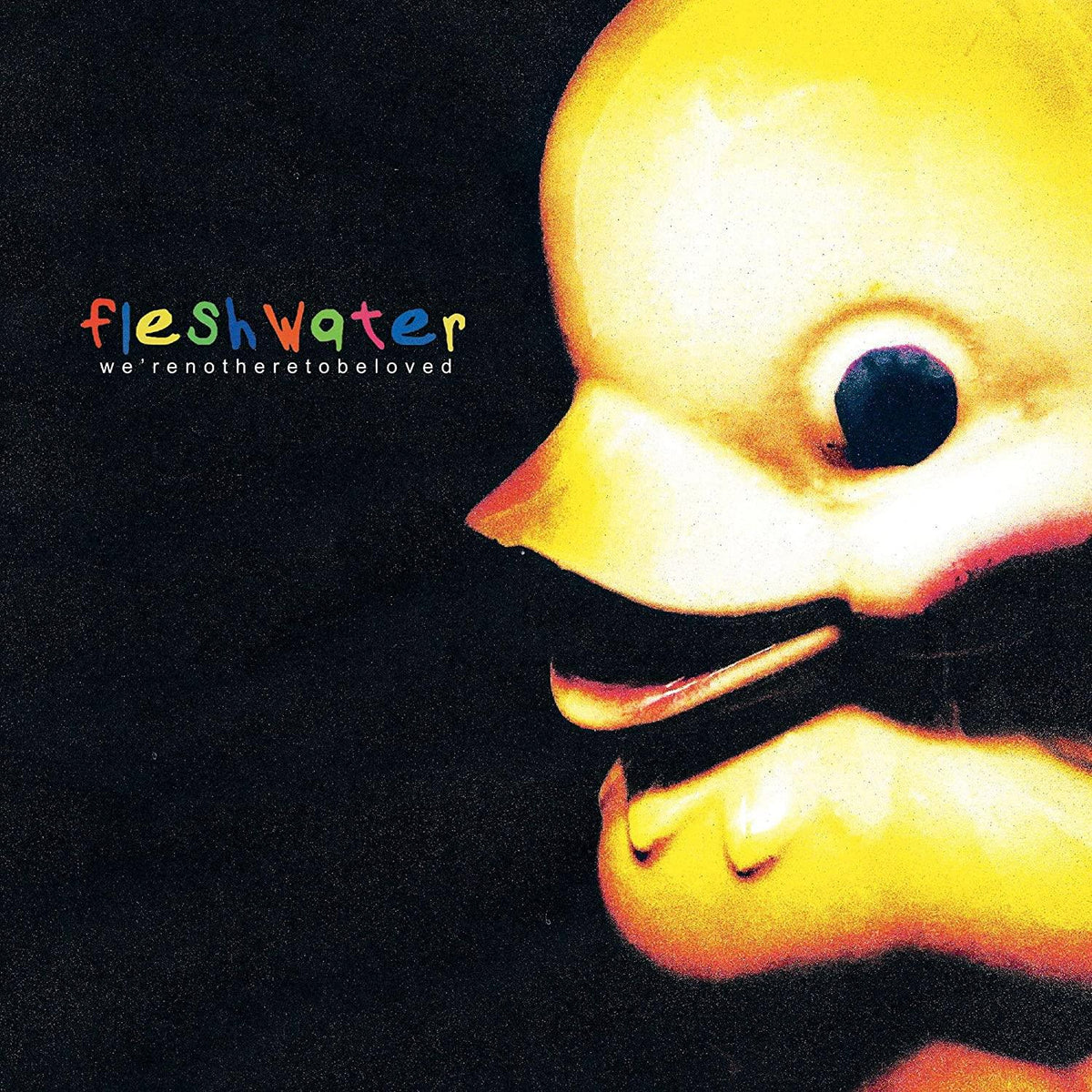 Fleshwater (Vein)- We're Not Here To Be Loved (CD)-BoldPlay
