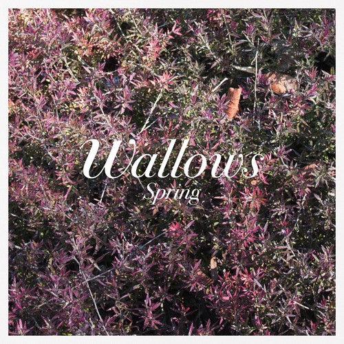 Wallows- Spring EP (Vinyl)-BoldPlay