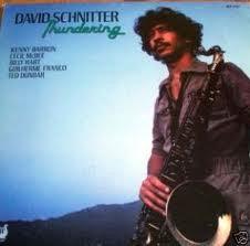 David Schnitter- Thundering (Sealed) (Used Vinyl)-BoldPlay