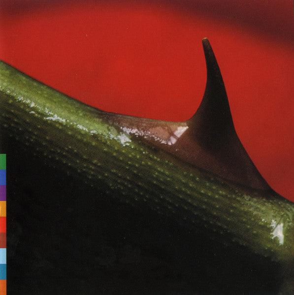 Nusrat Fateh Ali Khan & Michael Brook- Night Song-BoldPlay