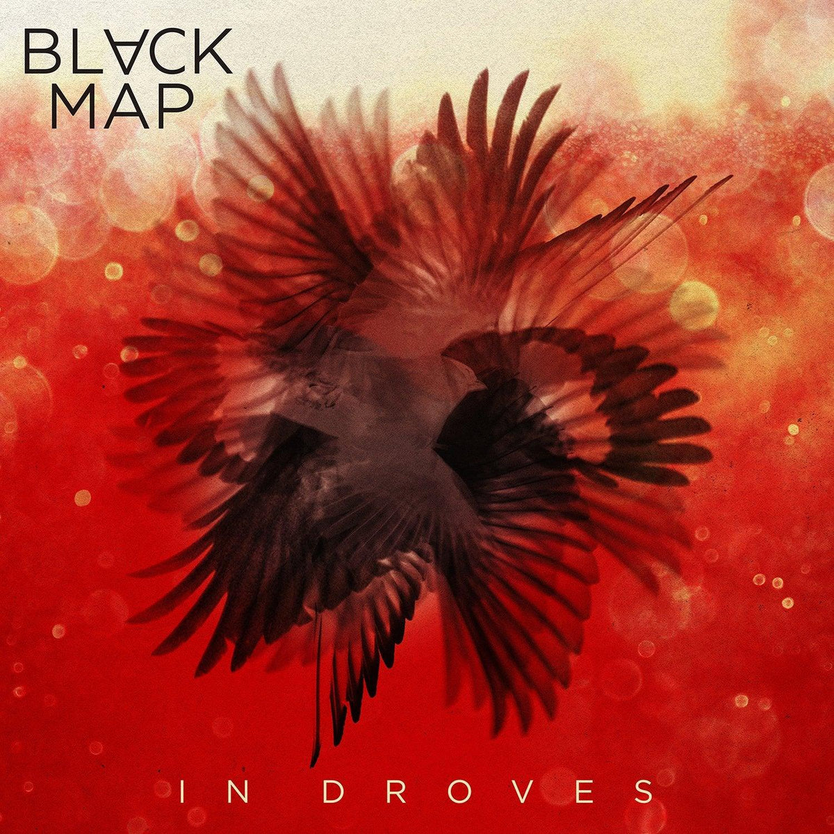 Black Map- In Droves-BoldPlay
