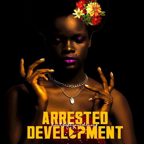 Arrested Development- Don't Fight Your Demons (Vinyl)-BoldPlay